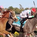 Current Belmont Stakes odds