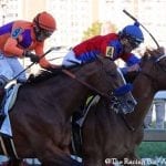Swiss Skydiver takes Preakness for the ages