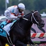 Preakness Profile: Liveyourbeastlife