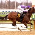 No Cents cashes in in James F. Lewis III Stakes