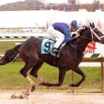 For trainer Daniel Velazquez, something to say wow about