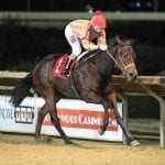 Midlantic claiming activity off 30 over percent