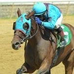 Jockeys’ Guild to appeal NJ crop rule
