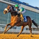 Kenny Cox barn enjoying strong Laurel meet