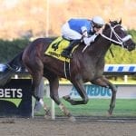 Laurel: Lewis, Smart Halo stakes draw strong noms