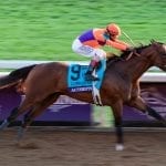 Breeders’ Cup: Md-bred Knicks Go dominates Dirt Mile