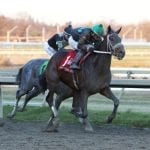 Fasig-Tipton Mixed sale by the numbers