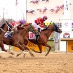 Local Motive back for Maryland Juvenile