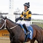 On Breeding: Midlantic sire stats