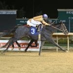 Stabling, training may end at Pimlico, consolidate at Laurel