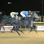 Peace and Justice bonus awarded