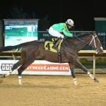 Graded stakes for 2021 announced