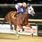 Laurel Park picks and ponderings Jan. 24, 2021