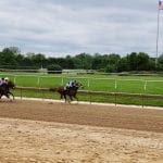 Parx picks and horses to watch: Jan. 12