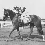 For trainer David Walters, 1,500 wins a family affair