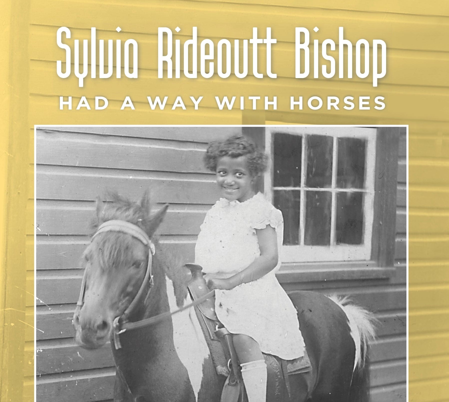 Sylvia Bishop
