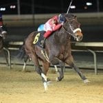 BackTracks: Blue Sparkler shines bright