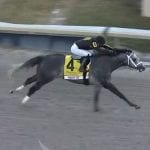 1/ST Racing supporting JOckeys’ Guild