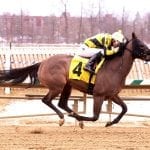 Horologist tabbed NJ-bred Horse of the Year
