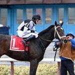 PA racing interests aim to protect Race Horse Development Fund