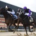 For racing starters, “It’s all about teamwork”