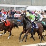 Bound by Destiny looks for four-bagger in Small Wonder