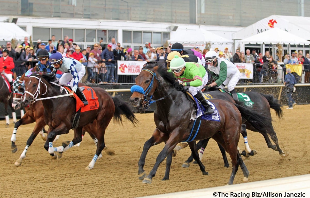 Maryland Million