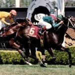 Penn National: Hot jocks and trainers