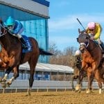 Cordmaker regains winning ways in Johnson