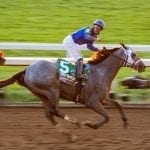 Concert Tour to contest Preakness
