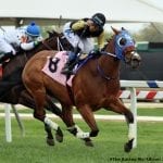 Delaware Park Handicappers’ Notebook 2021 Vol. 4