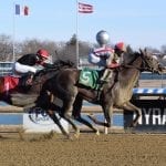 Willful Woman heading to Black-Eyed Susan