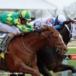 Parx: Stakes bow for undefeated Chub Wagon
