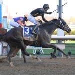Monmouth seeks authorization for fixed odds betting