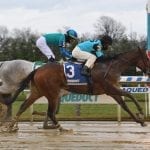 Triple Crown Update: Last Call
