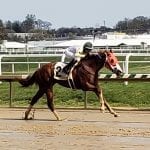 Triple Crown Update: Last Call