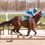 Horologist returns a winner in Top Flight