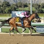 Jockey Club to produce American Racing Manual