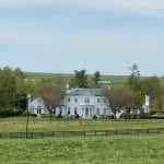Pimlico picks and ponderings May 1, 2021