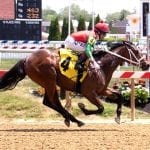 Wootton Asset taking swing in Bald Eagle