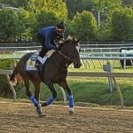 Spice Is Nice wins Allaire Du Pont Distaff