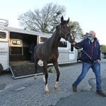 Our experts’ Kentucky Derby picks