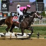 Latest Preakness Odds