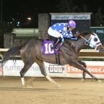 Rombauer narrowly in NTRA Top Thoroughbred Poll