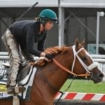 Preakness Profile: Keepmeinmind