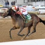 Pimlico picks and ponderings: May 15