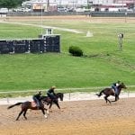 Parx sweep yields “significant” contraband