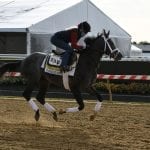 Mighty Mischief rolls in G3 Chick Lang