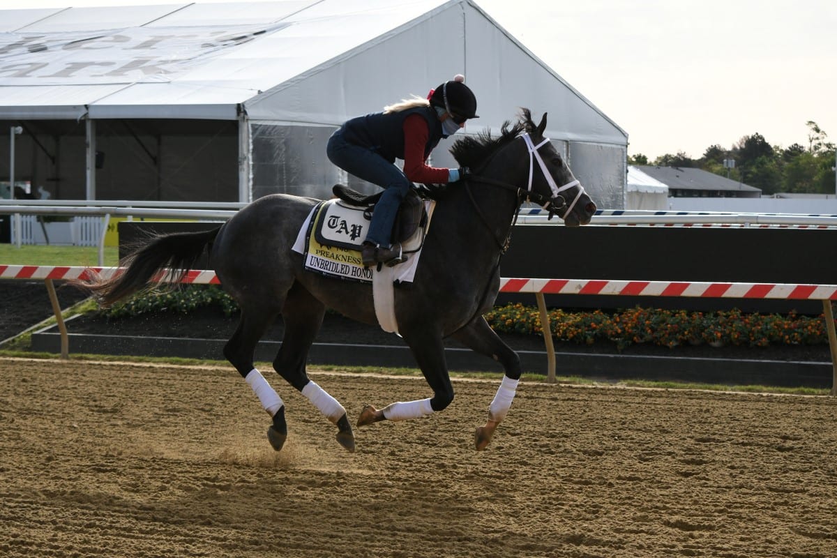 Unbridled Honor