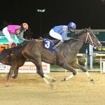 Pimlico picks and ponderings May 2, 2021